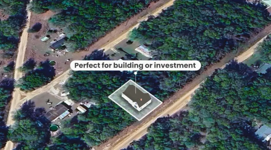 000 Wilson Dr Drive, Interlachen, FL 32148 - #3