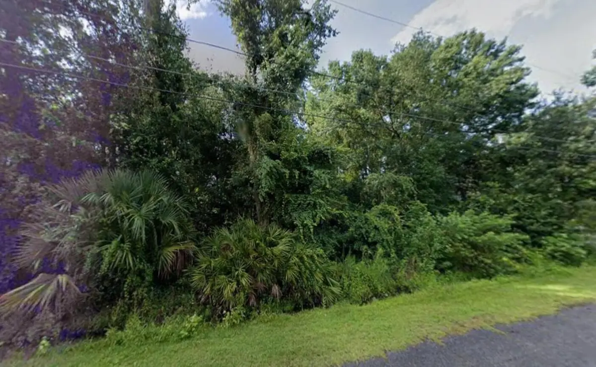 242 Toms Road, Debary, FL 32713 - #1