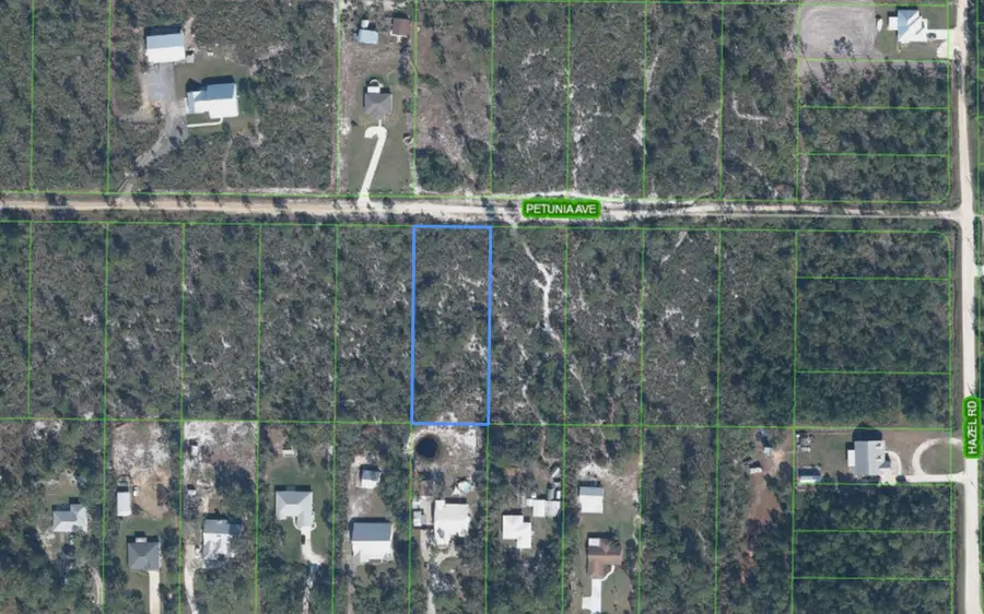 2013 Petunia Avenue, Sebring, FL 33875 - #3