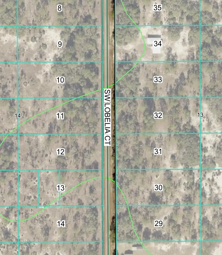 Tbd Lot 32 SW Lobelia Court, Dunnellon, FL 34431 - #3