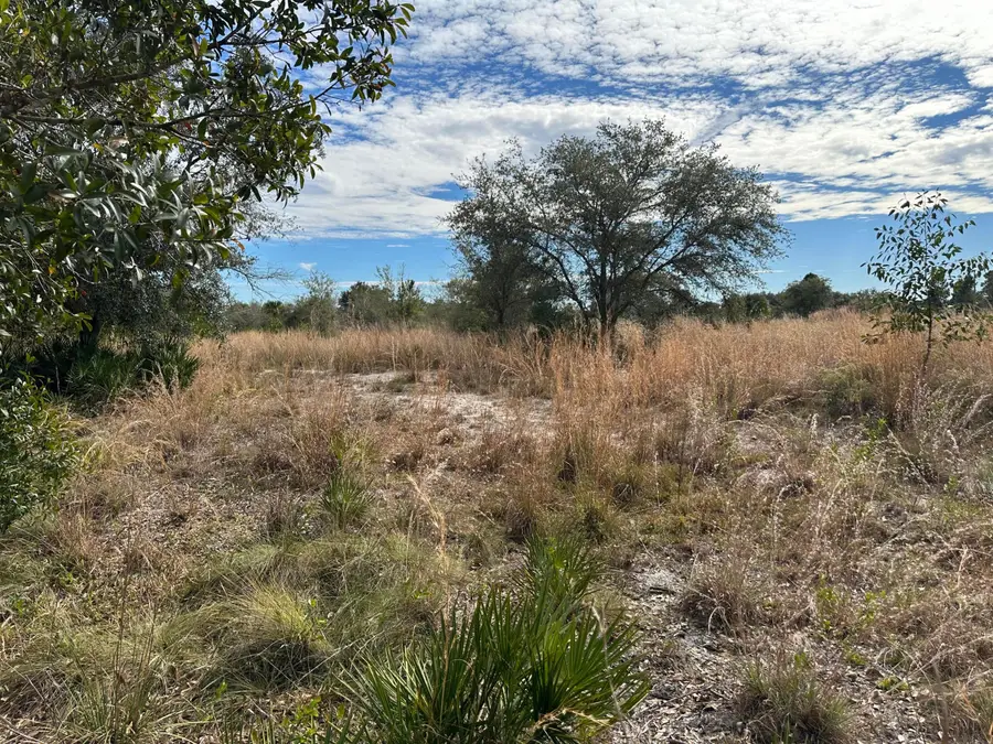 15322 NW 252nd Street, Okeechobee, FL 34972 - #2