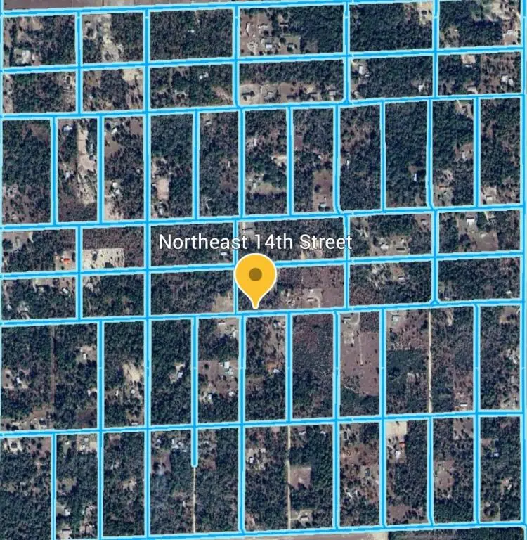 14 NE 0 Street, Williston, FL 32696 - #2