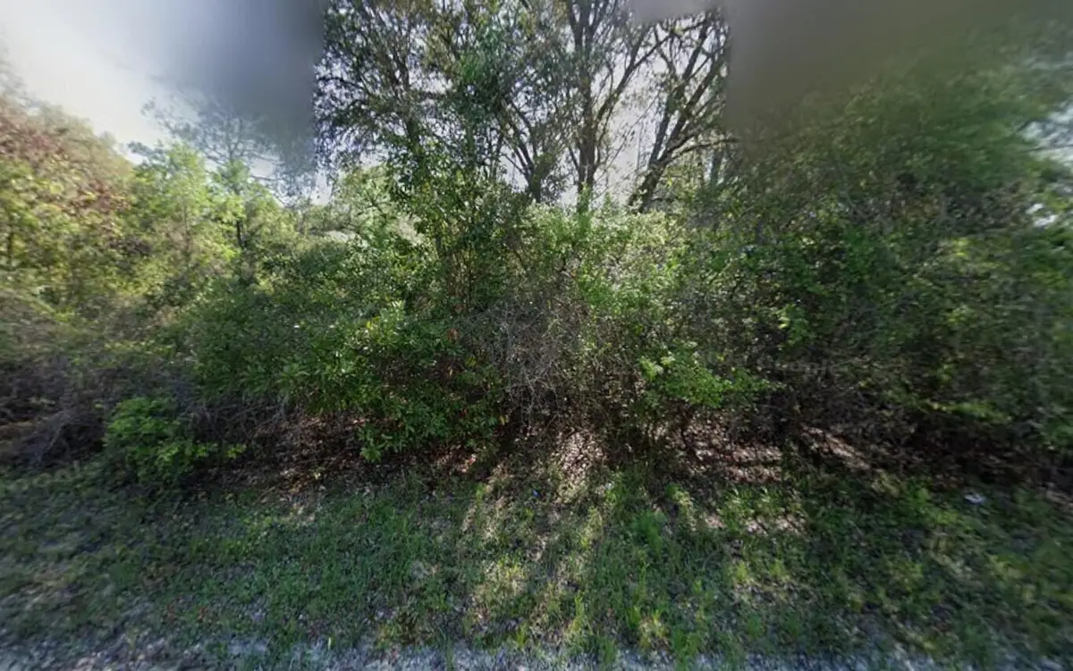 Tbd NE 799th Street, Old Town, FL 32680 - #1