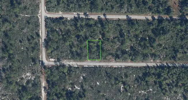 3351 Elmbrook Drive, Lake Placid, FL 33852 - #1