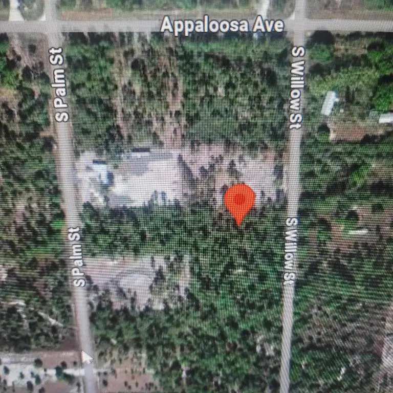 730 S Willow, Clewiston, FL 33440 - #3