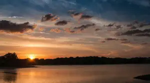 2650 Greenwood Terrace #1250, Boca Raton, FL 33431 - #2