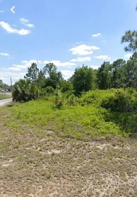 2515 54th Street W, Lehigh Acres, FL 33971 - #3