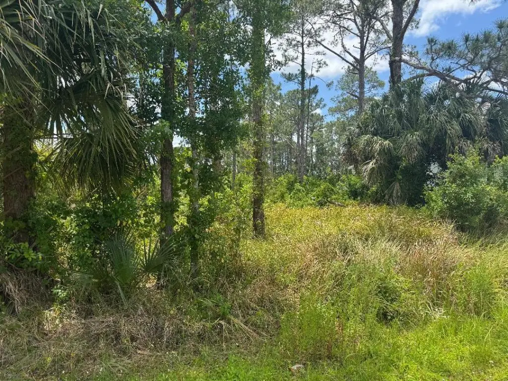 1458 Transcoro Street Se, Palm Bay, FL 32909 - #1