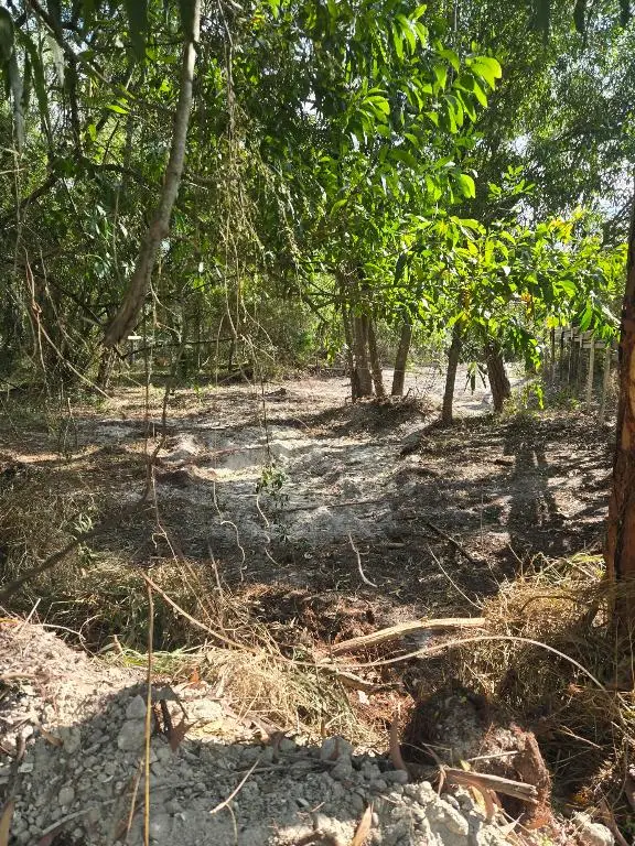 17534 42nd Road N, Loxahatchee, FL 33470 - #1