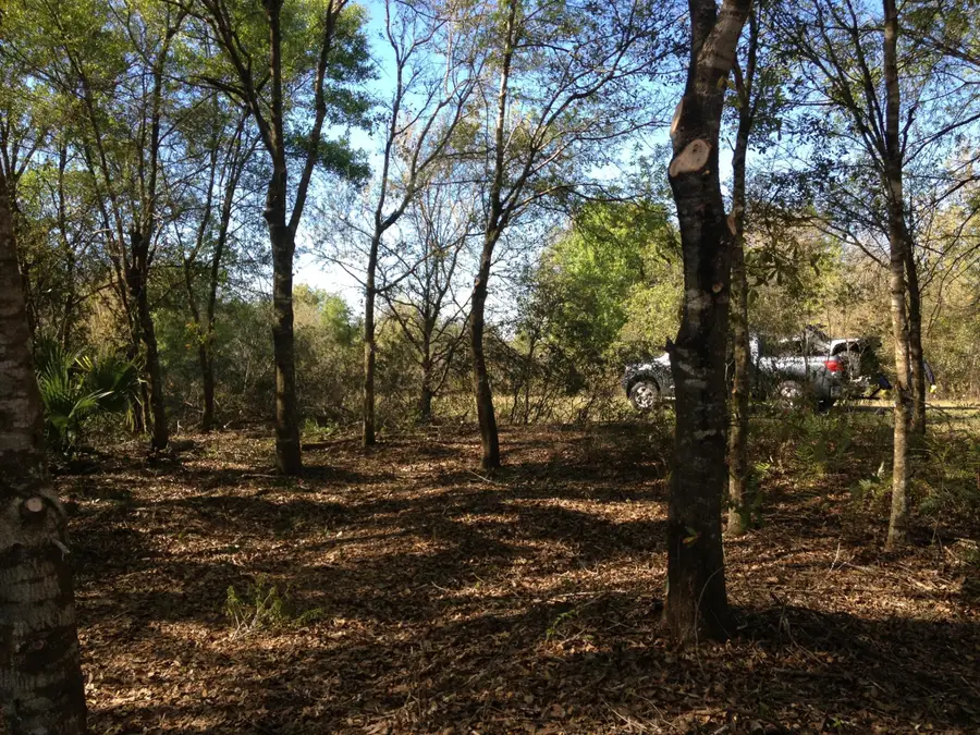 17444 NW 286th Street, Okeechobee, FL 34972 - #3