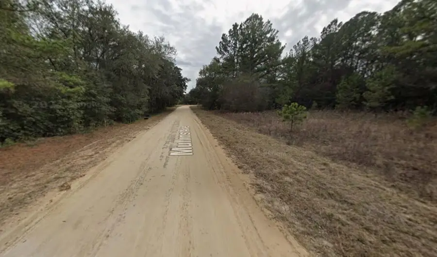 Tbd Mullins Avenue, Interlachen, FL 32148 - #2