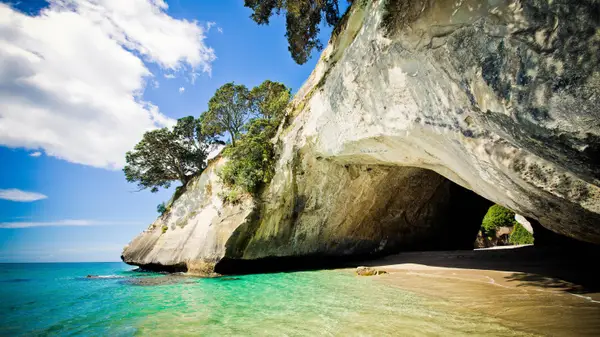 2850 W Golf Boulevard #210, Pompano Beach, FL 33064