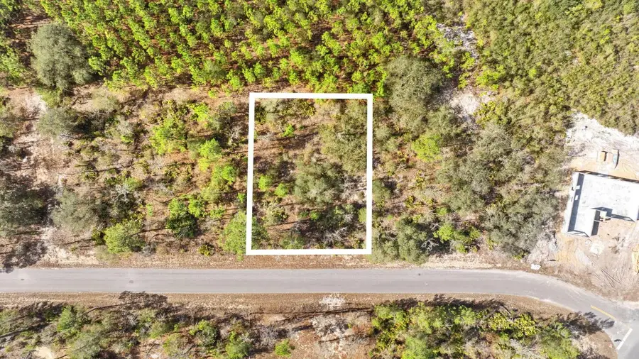 000 No Situs, Ocklawaha, FL 32179 - #2