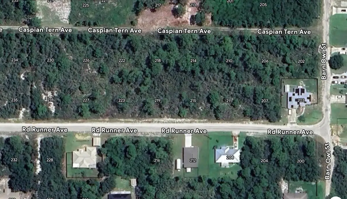 215 Roadrunner Avenue, Sebring, FL 33870 - #1