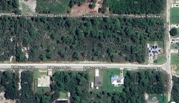 215 Roadrunner Avenue, Sebring, FL 33870