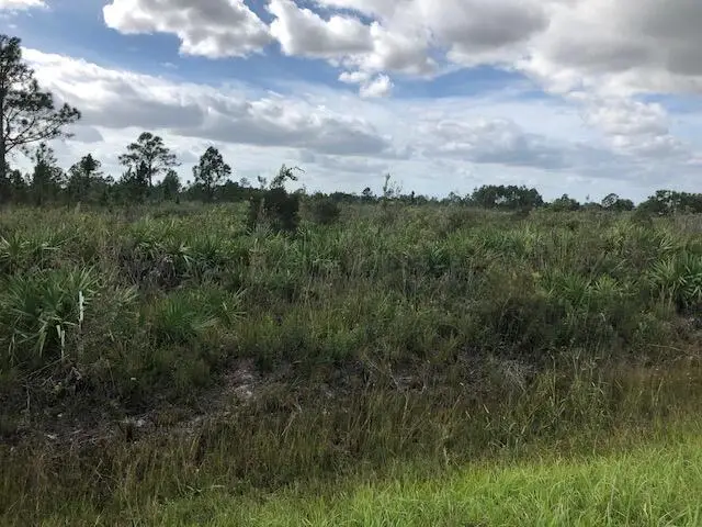 Tbd Undetermined, Citra, FL 32113 - #1