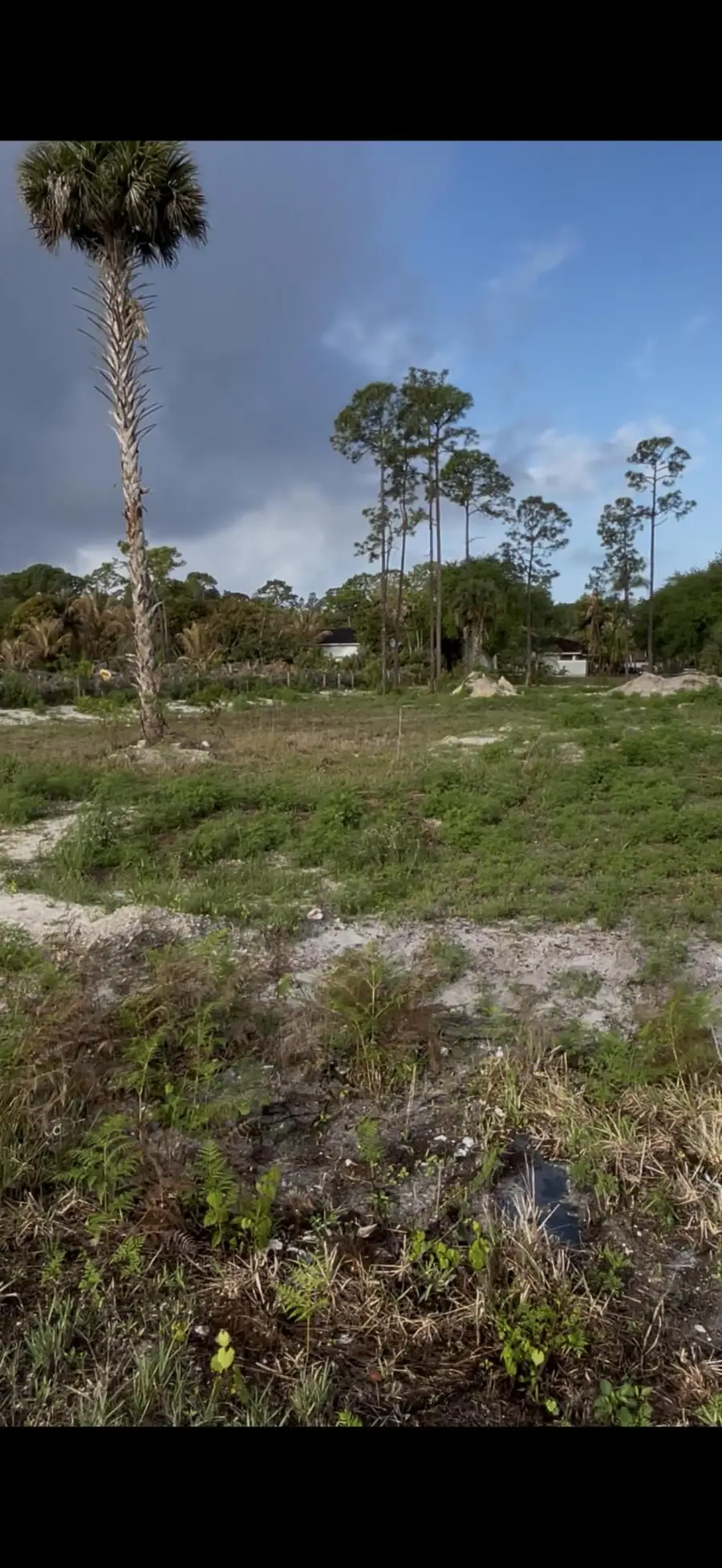 5361 Royal Palm Beach Boulevard, West Palm Beach, FL 33411 - #3