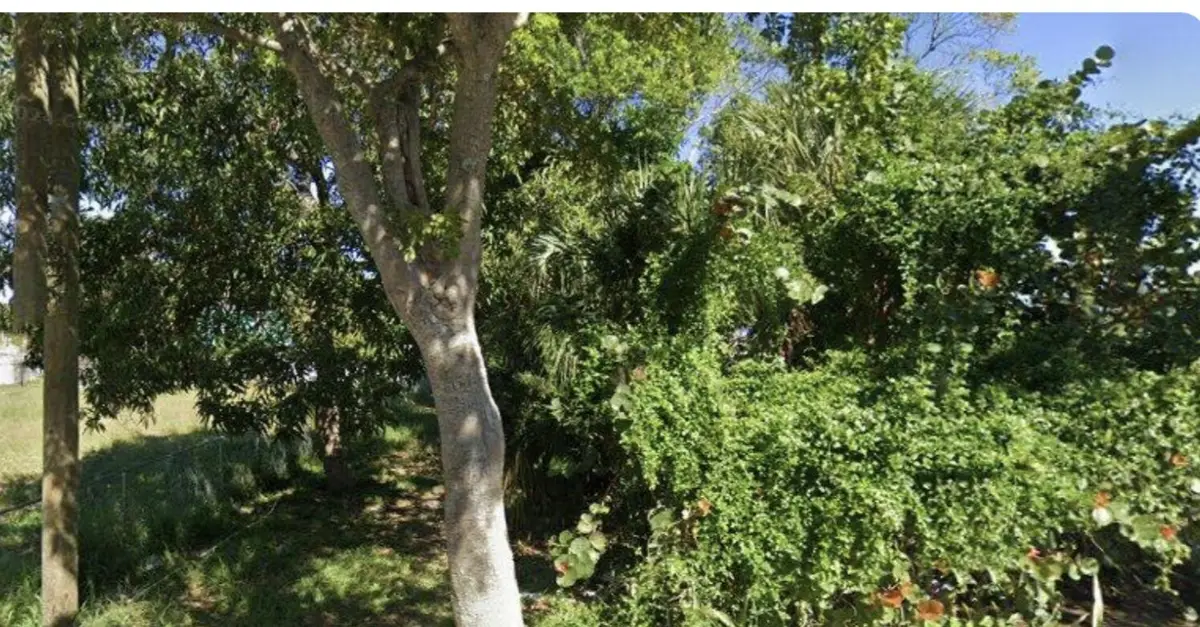 619 14th Street, West Palm Beach, FL 33401 - #1