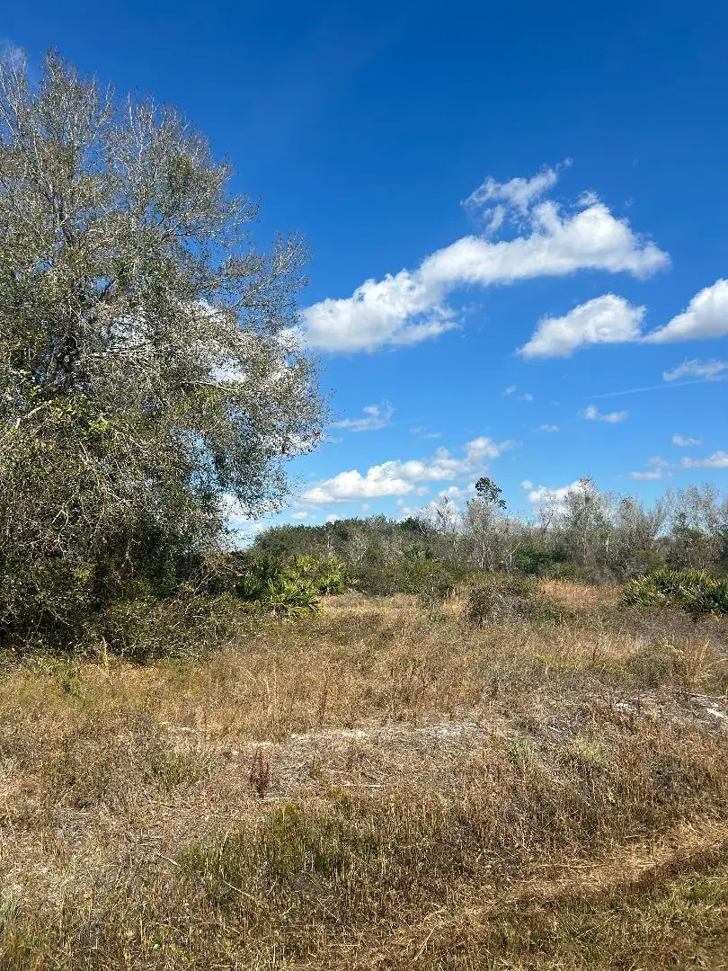 18133 NW 284th Street, Okeechobee, FL 34972 - #1