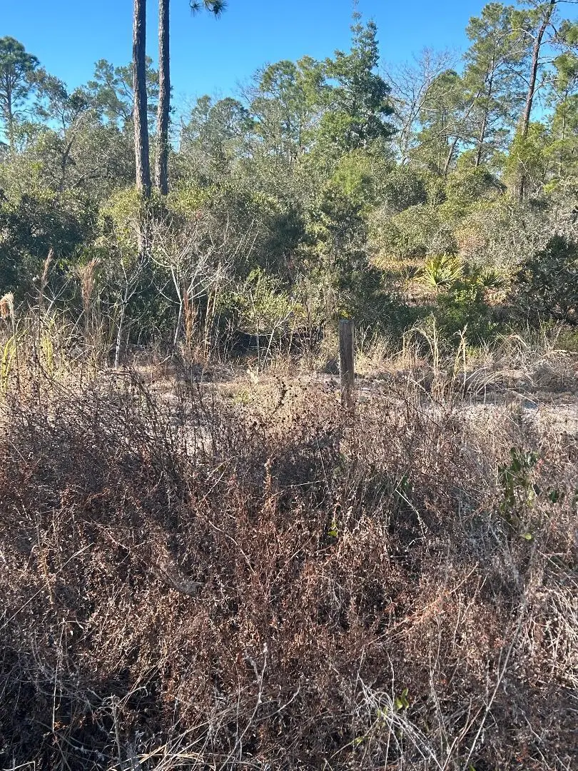 516 Deep River Drive, Lake Placid, FL 33852 - #1