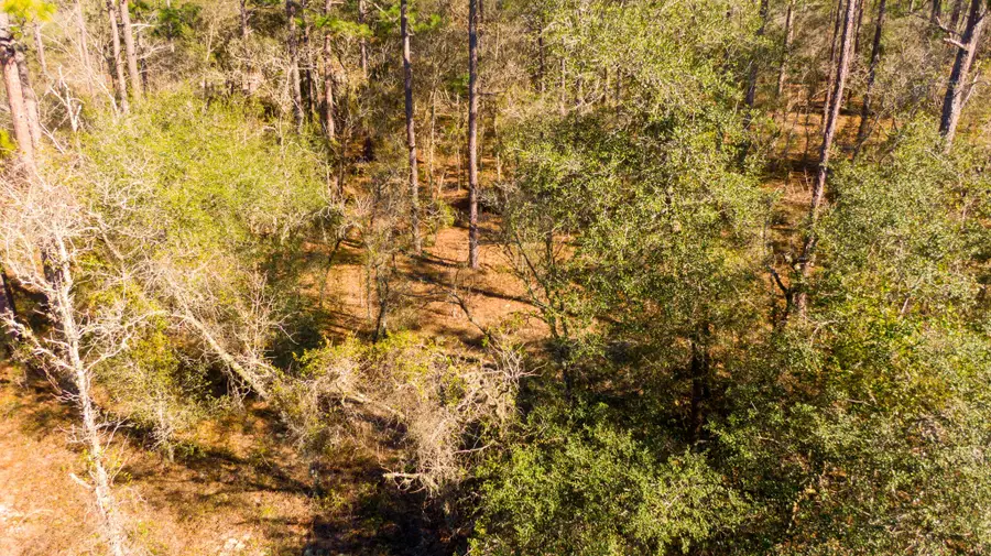 0000 SW Commodore Road, Dunnellon, FL 34431 - #3