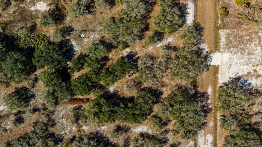 21486 NW 262nd Street, Okeechobee, FL 34972 - #3