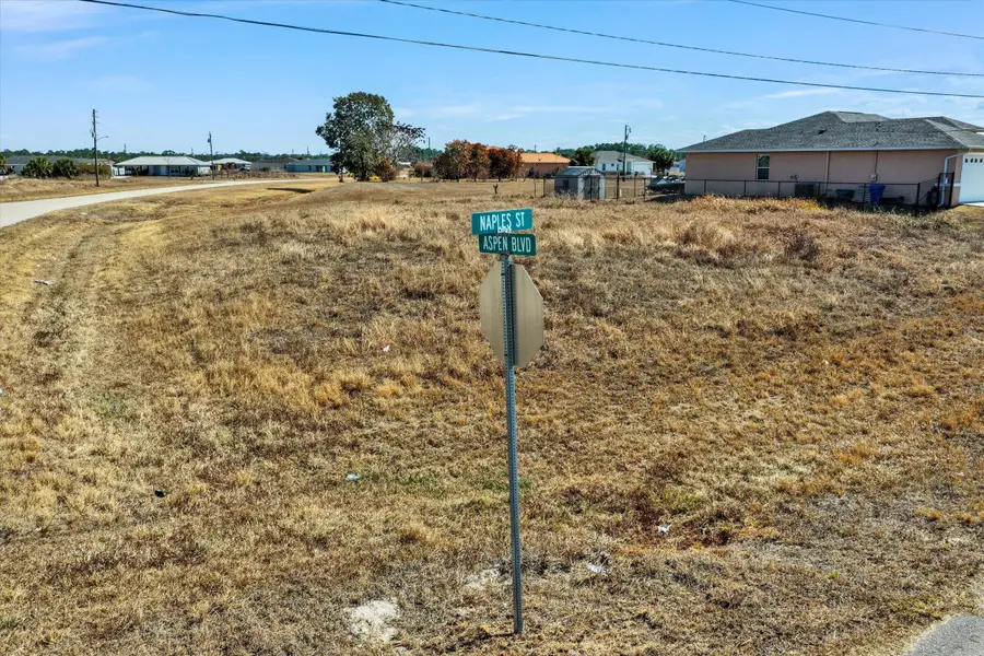 Blk 34 Naples Street Street, Labelle, FL 33935 - #3