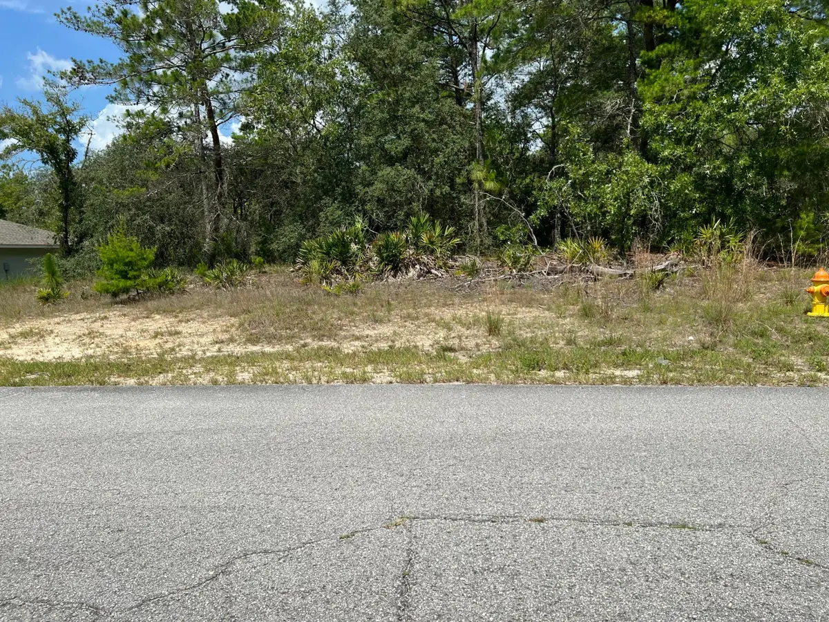 6876 N Sandborn Loop, Citrus Springs, FL 34433 - #1