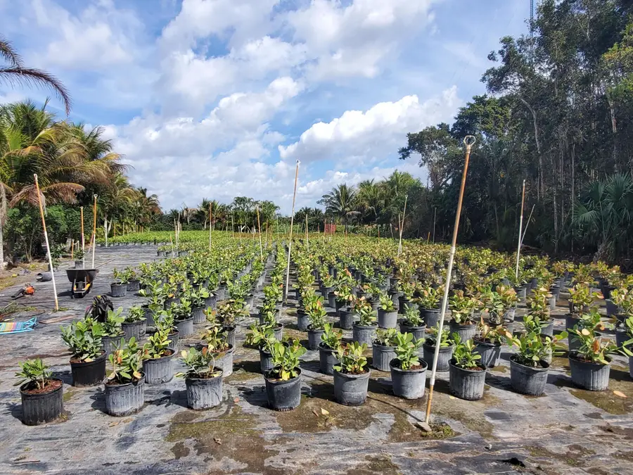 10655 61st Street S, Wellington, FL 33449 - #3