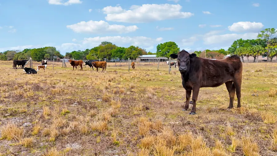 Tbd S Brocksmith Road, Fort Pierce, FL 34945 - #2