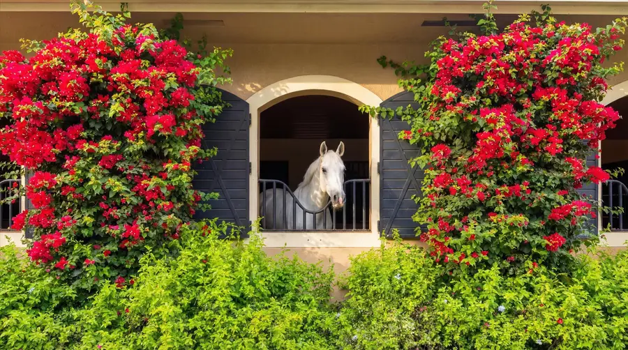 14911 Equestrian Way, Wellington, FL 33414 - #3