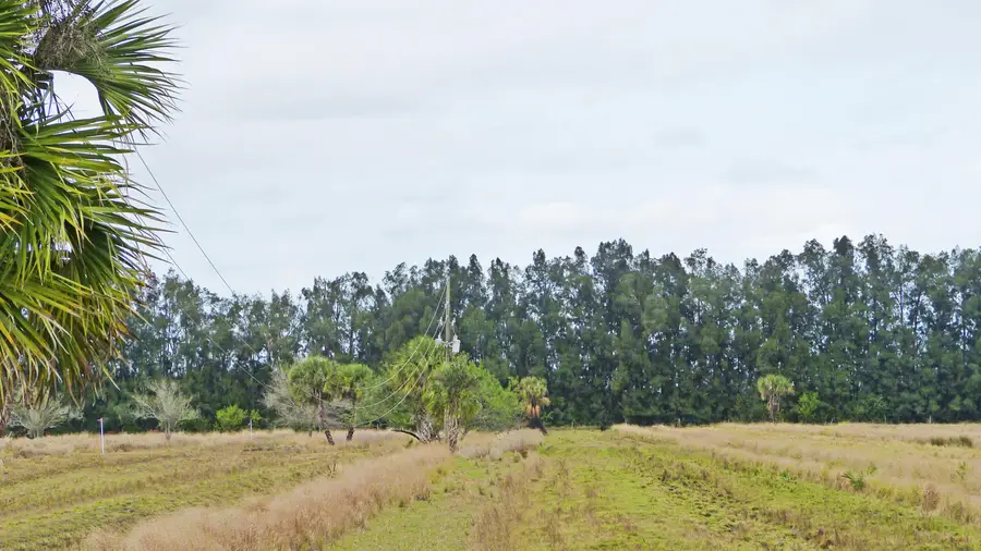 Tbd Kelly Road, Fort Pierce, FL 34945 - #3