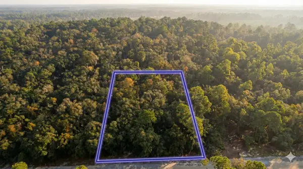 10230 Zigler Avenue, Hastings, FL 32145