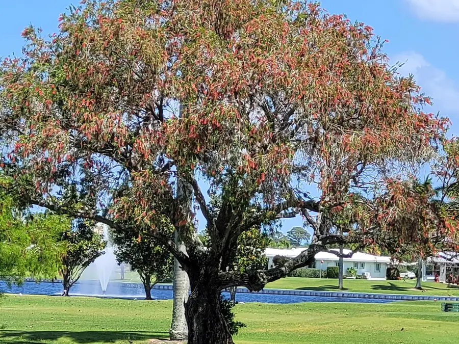 300 SW Golfview Terrace #142, Boynton Beach, FL 33426 - #3