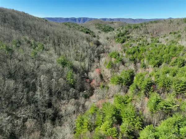 180 Acres (off Of) Willard Creek Lane, Stuart, VA 24171