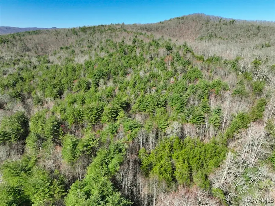 180 Acres (off Of) Willard Creek Lane, Stuart, VA 24171 - Image #2