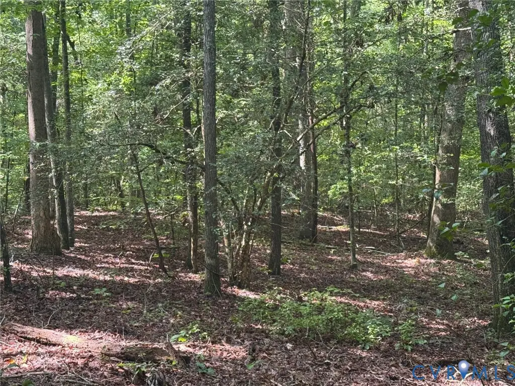 34 Purkins Court, Tappahannock, VA 22560 - #1