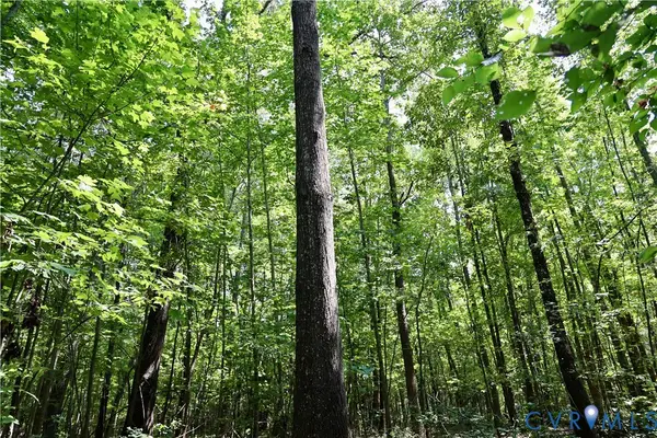 0 Bellevue Road, Halifax, VA 24588