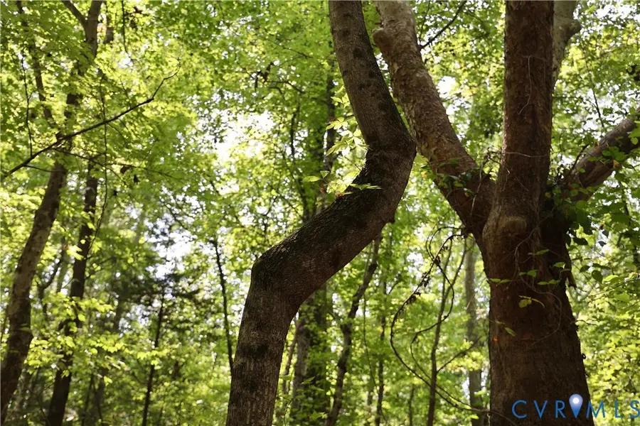 0 Bellevue Road, Halifax, VA 24588 - Image #3