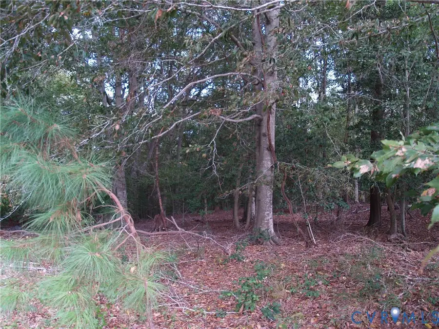 TBD Squirrel Hollow Lane, Barhamsville, VA 23011 - #2