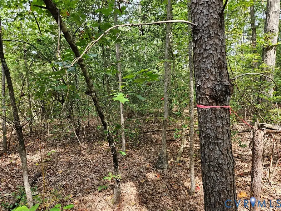 00 Off Of Long Branch Road, Woodford, VA 22580 - #2