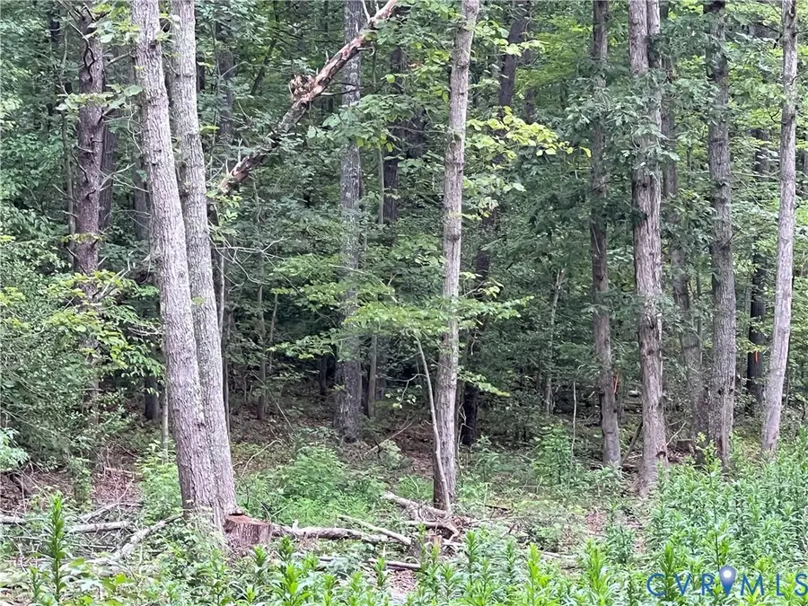 2852 Nelsons Bridge Road, Hanover, VA 23069 - Image #2