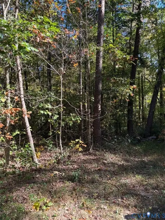 0 Stokes Station Road, Goochland, VA 23063 - Image #1