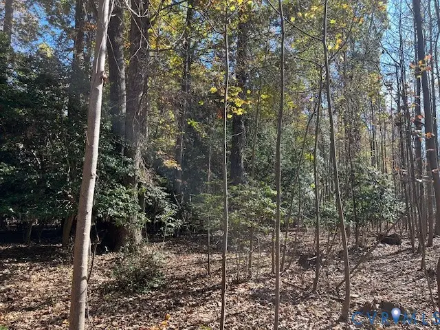 2111 Point Of Rocks Road, Chester, VA 23836 - Image #3