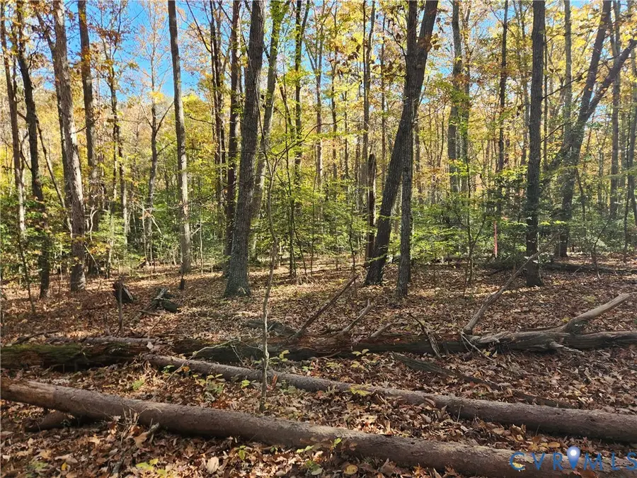 0 Sandy Hook Road, Sandy Hook, VA 23153 - Image #3