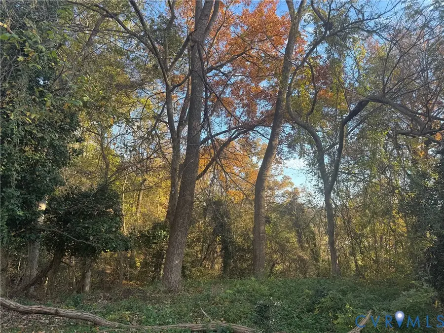 1907 Georgia Avenue, Richmond, VA 23220 - Image #2