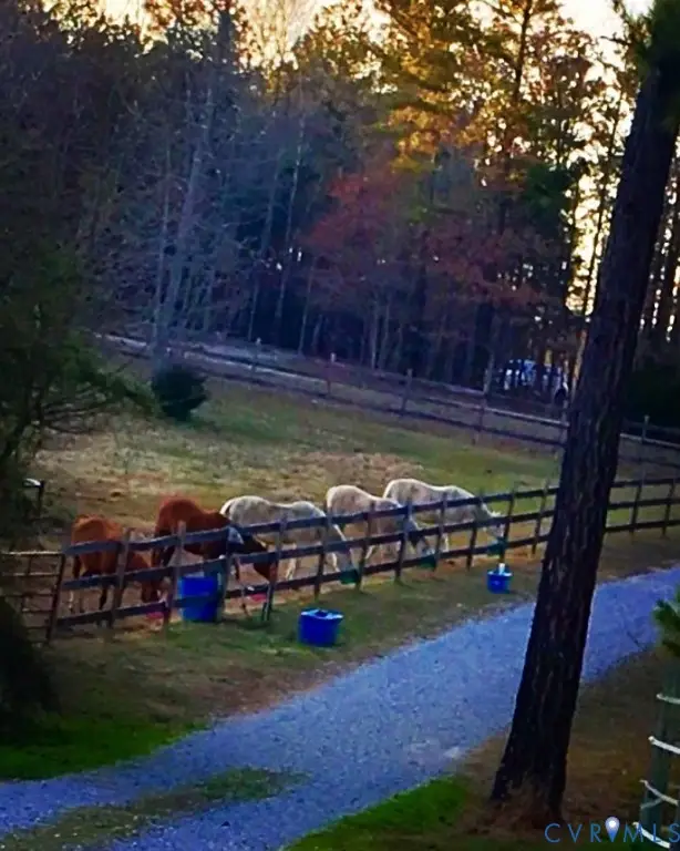 3151 Benchmark Trail, Amelia Court House, VA 23002 - Image #3