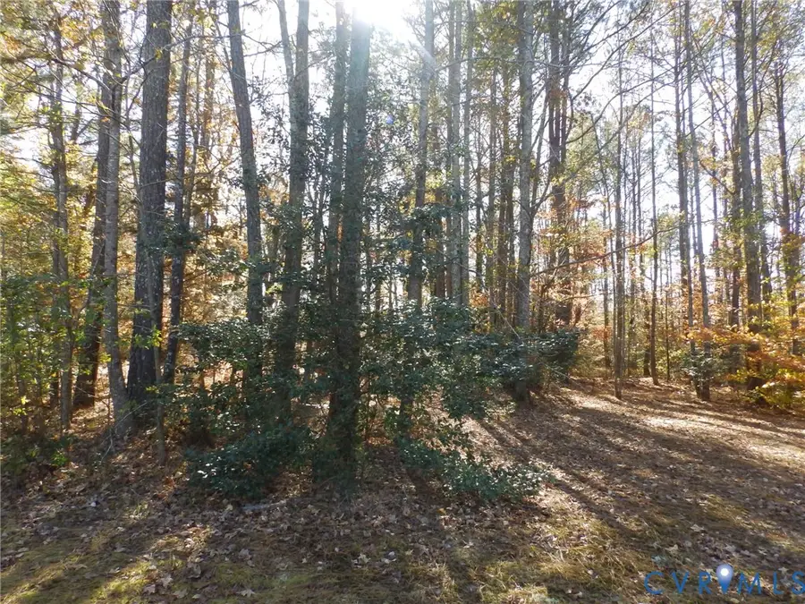 0 Edgar Lane, Elberon, VA 23846 - Image #2