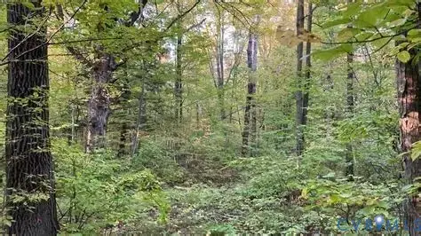 Lot 19 Stonewall Drive, Amelia Court House, VA 23002 - Image #1