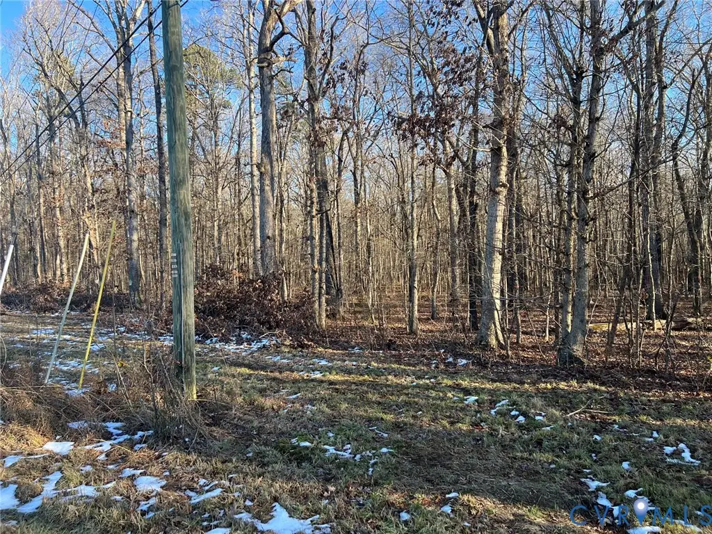 32-1-5 Patrick Henry Highway, Amelia Court House, VA 23002 - Image #1